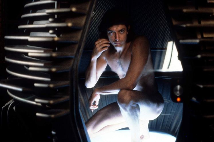 The FLy 1.jpg