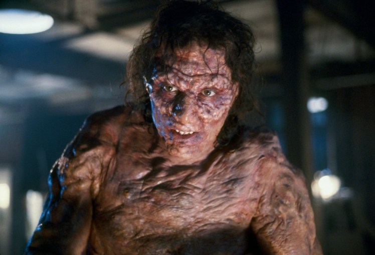 The FLy 2.jpg